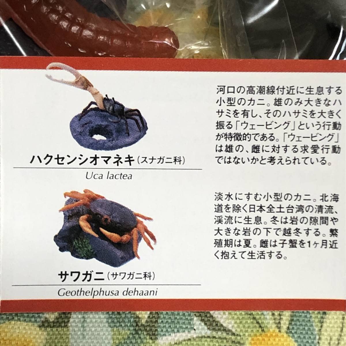 Amazon.co.jp: 地球生命紀行 蟹 海老 フィギュアコレクション レア入全